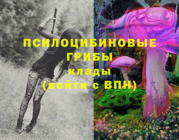 круглые Алексеевка