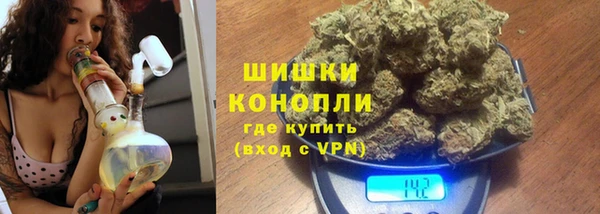 mdpv Снежногорск