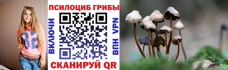 Псилоцибиновые грибы Cubensis  дарнет шоп  Бологое 